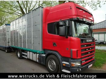Для перевезення худоби вантажівка Scania 164/580 164/580Topline 2 Stock: фото 1