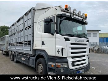 Для перевезення худоби вантажівка Scania R 440 Highline  3 Stock Pezzaioli: фото 1