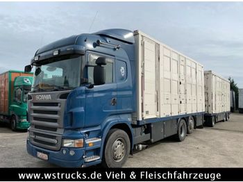 Для перевезення худоби вантажівка Scania  R 560 V8 Highline Menke 3 Stock Vollalu: фото 1