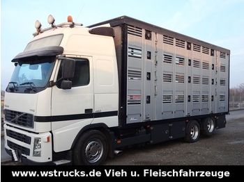 Для перевезення худоби вантажівка Volvo FH 460 Globe mit Menke 4 Stock Hubdach: фото 1