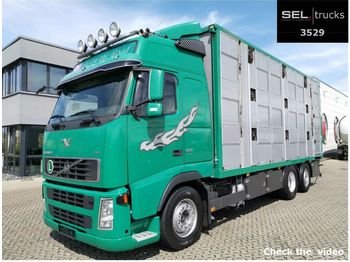 Для перевезення худоби вантажівка Volvo FH 520 6x2 / 3 Stock / German: фото 1