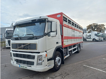 Для перевезення худоби вантажівка Volvo FM: фото 1