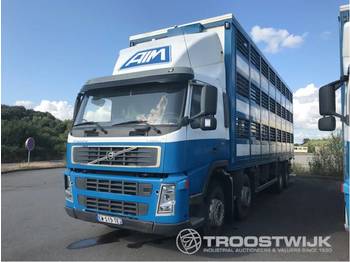 Для перевезення худоби вантажівка Volvo Volvo FM12 380 FM12 380: фото 1