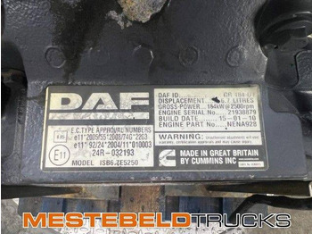 Двигун та запчастини в категорії Вантажівки DAF motor: фото 2