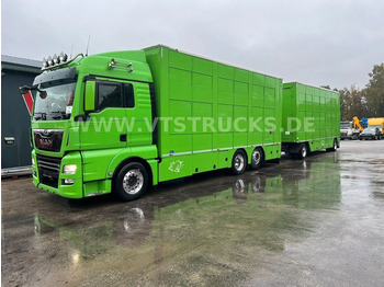 MAN TGX 26.460 6X2-4 LL 3.Stock Cuppers Komplettzug  - Для перевезення худоби вантажівка: фото 1