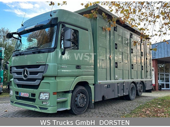 Mercedes-Benz Actros  2544 Menke 3 Stock Vollalu Hubdach  - Для перевезення худоби вантажівка: фото 1