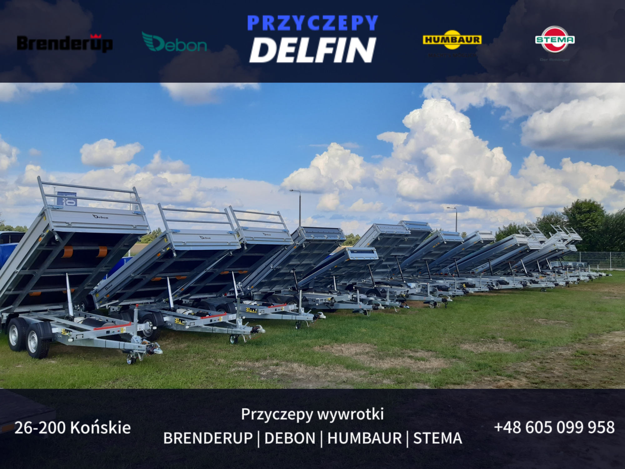 ZPHU DELFIN Gruszkiewicz Andrzej undefined: фото 2