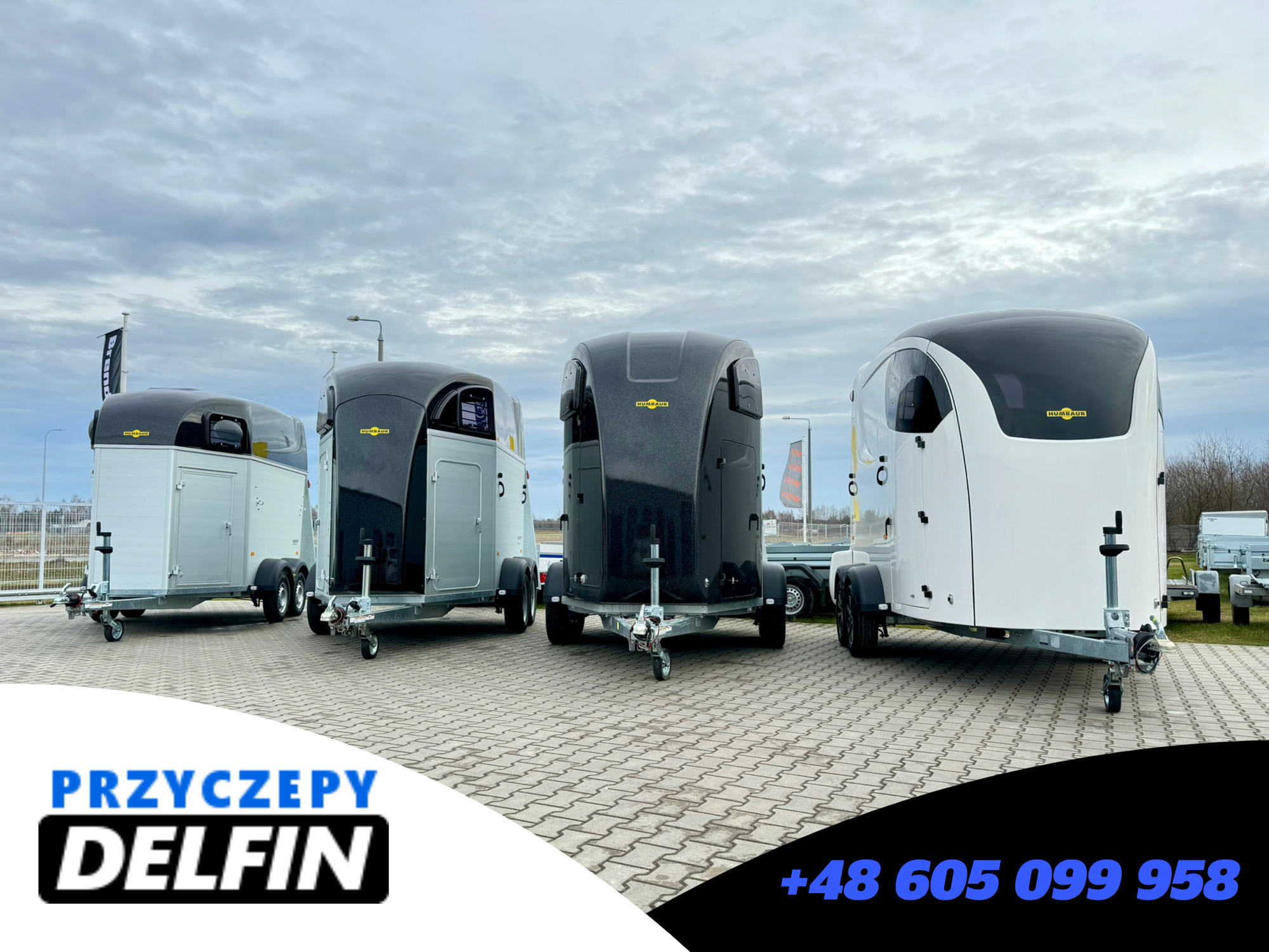 ZPHU DELFIN Gruszkiewicz Andrzej undefined: фото 4