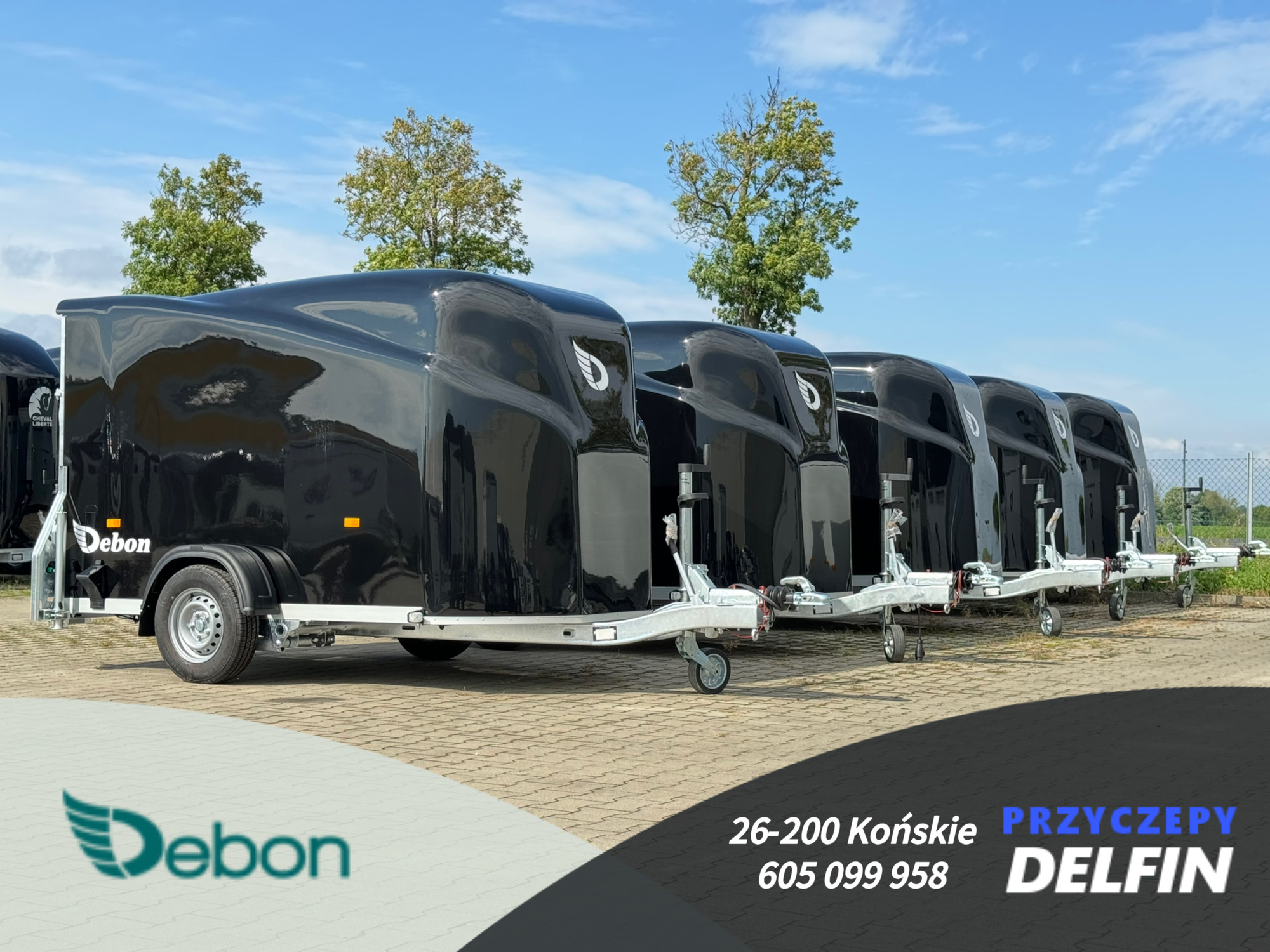 ZPHU DELFIN Gruszkiewicz Andrzej undefined: фото 6