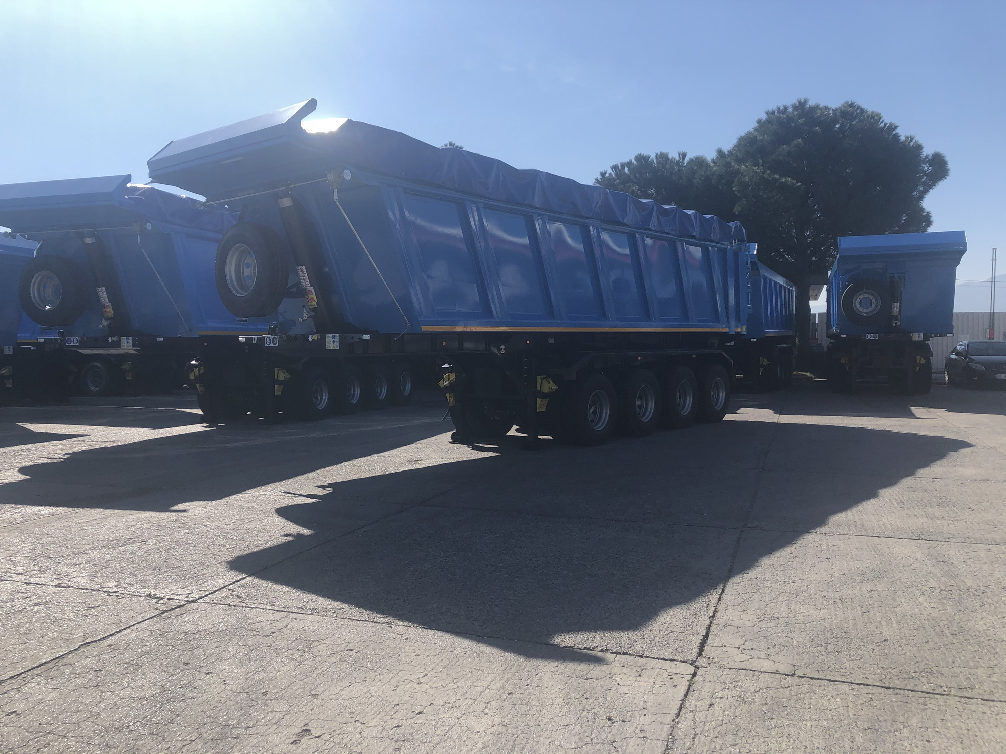 STAR YAGCILAR undefined: фото 19