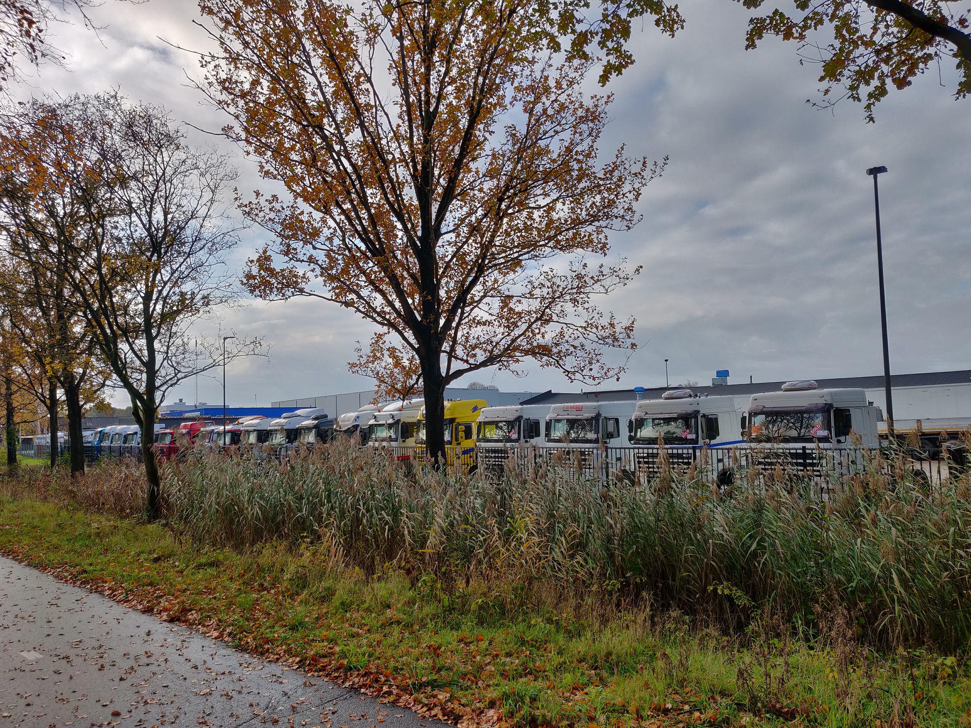 Truck Trading Holland - Оголошення про продаж undefined: фото 17