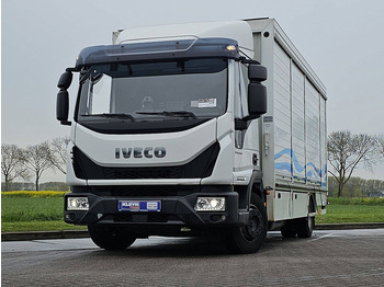 Вантажівка з закритим кузовом IVECO EuroCargo