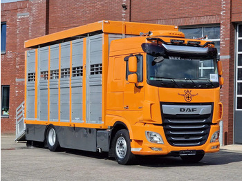 Для перевезення худоби вантажівка DAF XF 530