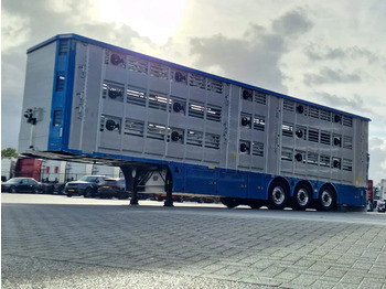 Новий Для перевезення худоби напівпричіп Pezzaioli New 3 stock livestock trailer 95.4M2 - Water & Ventilation - Lifting floors - Lifting roof - Lift axle: фото 4 Новий Для перевезення худоби напівпричіп Pezzaioli New 3 stock livestock trailer 95.4M2 - Water & Ventilation - Lifting floors - Lifting roof - Lift axle: фото 4