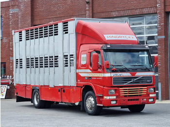Для перевезення худоби вантажівка VOLVO FL