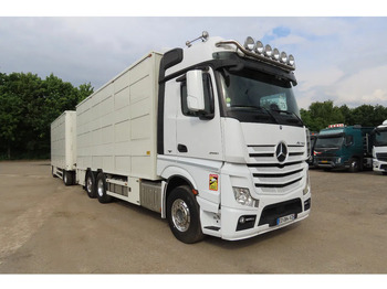 Для перевезення худоби вантажівка MERCEDES-BENZ Actros 2551