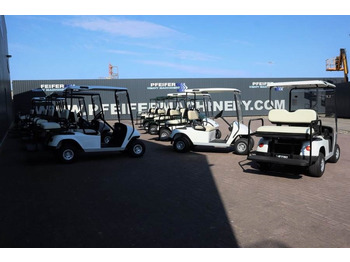 Гольф-кар BRINGO DG-C2 Valid Inspection, *Guarantee! Dutch R: фото 3