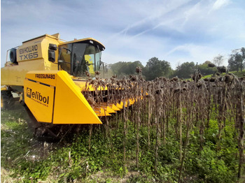 Новий Жниварка для соняшника ELİBOL FREESUN 480 ROW INDEPENDENT SUNFLOWER HEADER: фото 4