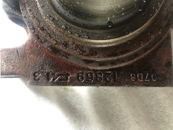 Поворотний кулак CARRARO