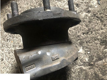 Поворотний кулак CARRARO