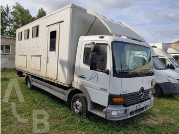 Коневоз MERCEDES-BENZ