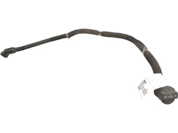 : фото в шапці сторінки