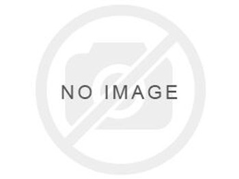 Поворотний кулак ZF