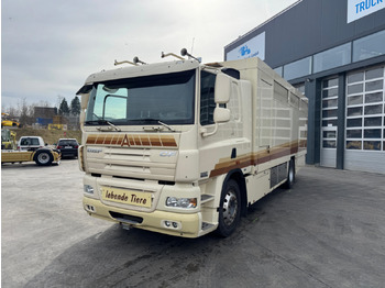 Для перевезення худоби вантажівка DAF CF 410