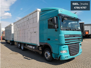 Для перевезення худоби вантажівка DAF XF 105.460  / Intarder / 4 Stock / KOMPLETT !: фото 4