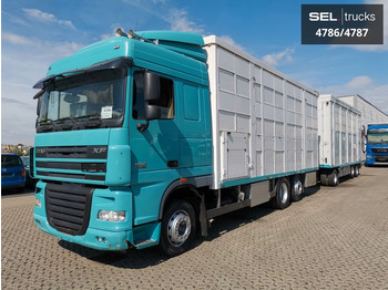 Для перевезення худоби вантажівка DAF XF 105.460  / Intarder / 4 Stock / KOMPLETT !: фото 2