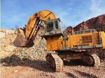 Гусеничний екскаватор LIEBHERR
