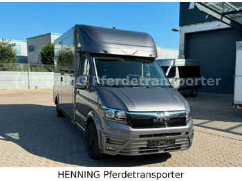 Для перевезення худоби вантажівка MAN TGE 3 - Sitzer *KLIMA PFERDEABTEIL*: фото 2