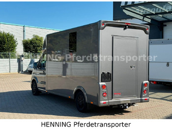 Для перевезення худоби вантажівка MAN TGE 3 - Sitzer *KLIMA PFERDEABTEIL*: фото 3