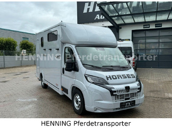 Для перевезення худоби вантажівка Peugeot Boxer 3 - Sitzer *GROSSE SATTELKAMMER*: фото 2