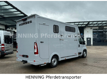 Для перевезення худоби вантажівка Peugeot Boxer 3 - Sitzer *GROSSE SATTELKAMMER*: фото 3