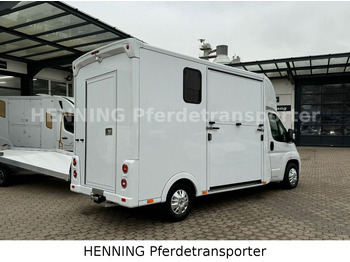 Новий Коневоз Peugeot Boxer *NEUWAGEN* ca. 1.200kg Nutzlast: фото 3