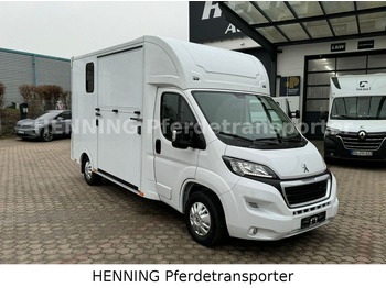 Новий Коневоз Peugeot Boxer *NEUWAGEN* ca. 1.200kg Nutzlast: фото 2