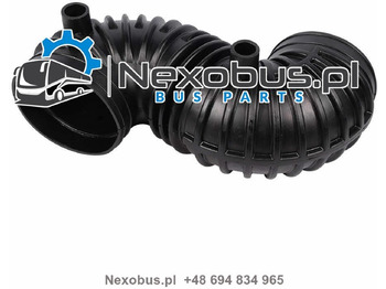 : фото в шапці сторінки