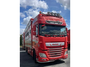 Для перевезення худоби вантажівка DAF XF 530