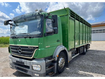 Для перевезення худоби вантажівка MERCEDES-BENZ Axor 1833