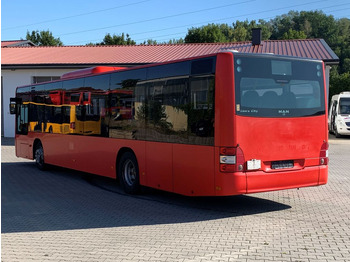Міський автобус MAN A 20 / Lions City Ü  Euro 5 / EEV / KLIMA: фото 4