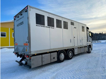 Для перевезення худоби вантажівка Mercedes-Benz Actros: фото 4