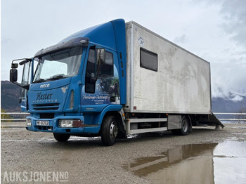Для перевезення худоби вантажівка IVECO EuroCargo