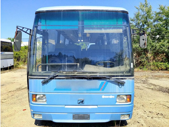 Міський автобус Bundle di 4 mezzi Iveco - Cacciamali Man - 10.180 HOCL Man - Neoplan Neoplan - N4011: фото 4