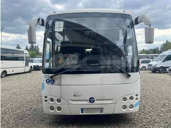 Міський автобус TEMSA