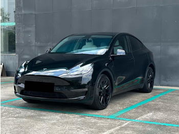 Легковий автомобіль TESLA