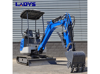 Новий Екскаватор LADYS DY18 Mini Excavator Kubota Euro 5/Epa Engine Mini Excavator For Sale: фото 3