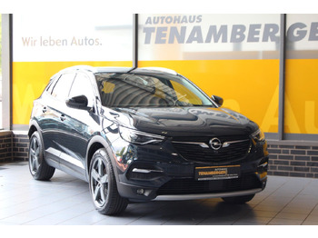 Позашляховик Opel Grandland X Ultimate Leder Navi Sitzlüftung AHK: фото 2