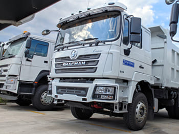 Вантажівка Для транспортування сипучих матеріалів SHACMAN Shacman Tractor Truck for Sale in Malawi: фото 4