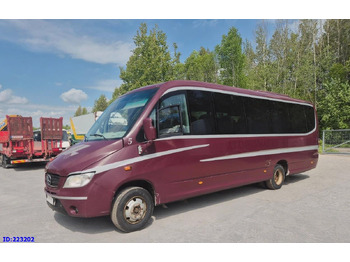 Мікроавтобус MERCEDES-BENZ Vario